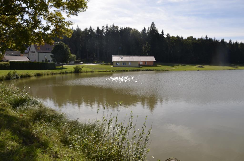 Hotel Pension Zum Grünen Wald Feuchtwangen Exterior foto